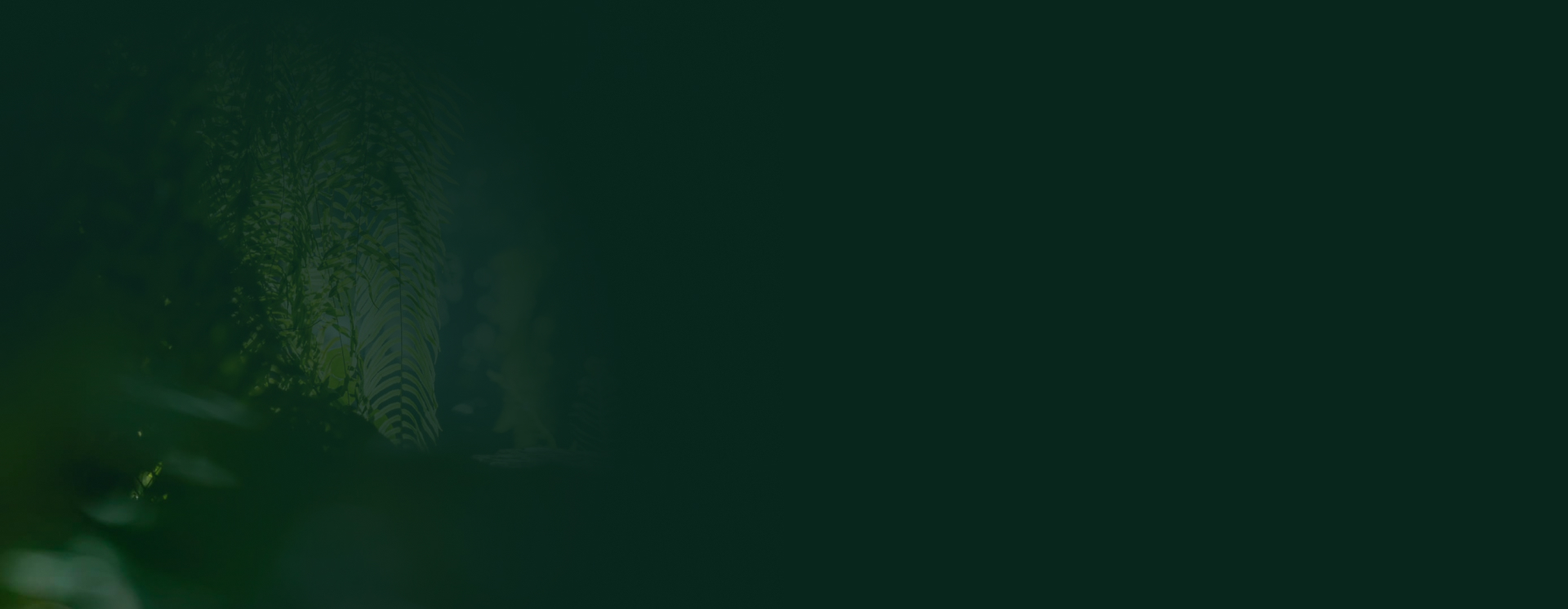 Eco Retreat Background